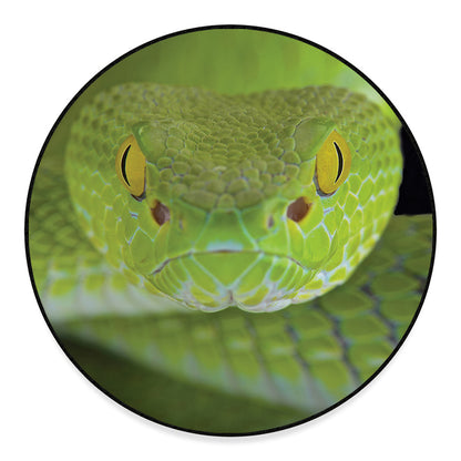 Green Pit Viper Print Round Floor Mat
