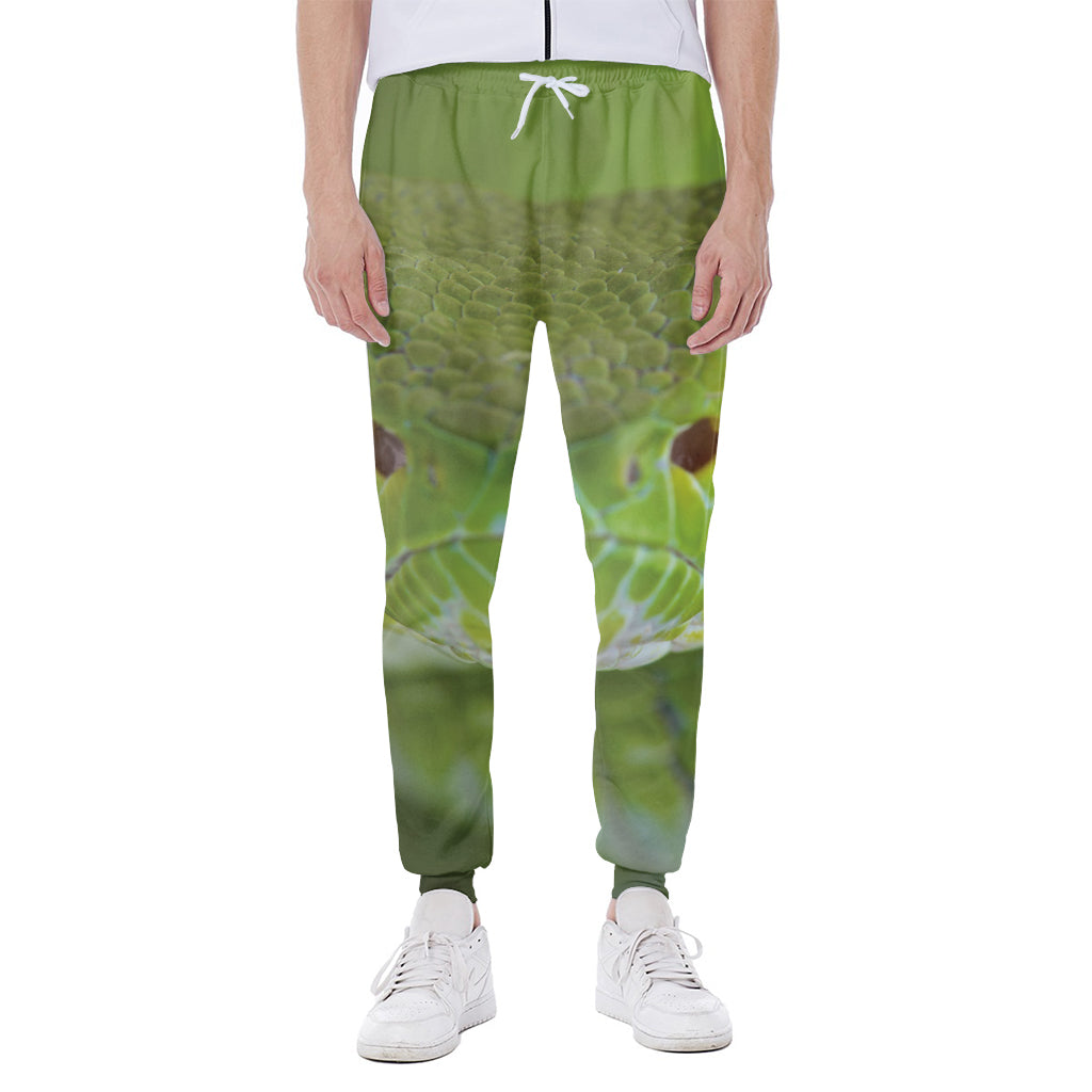 Green Pit Viper Print Scuba Joggers