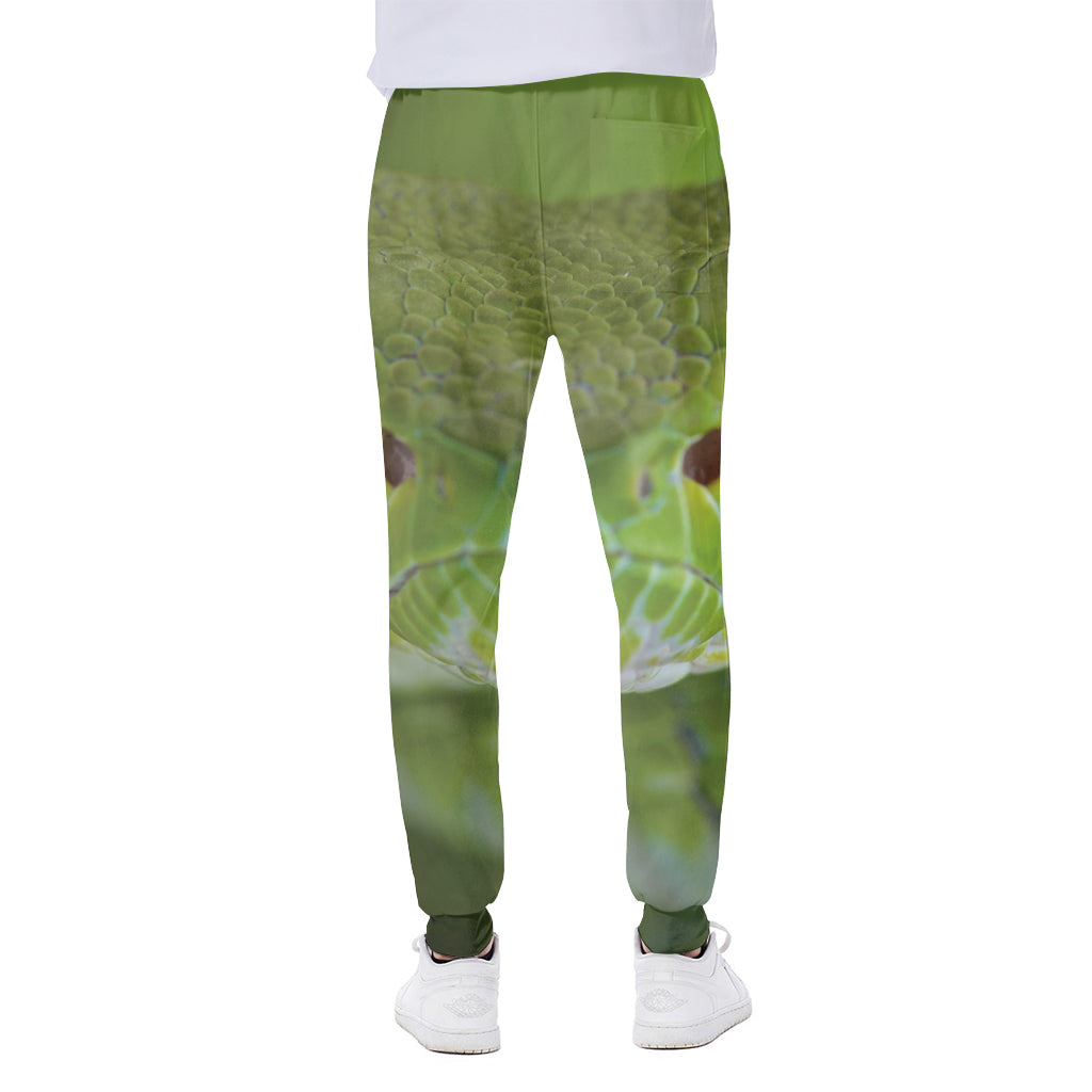 Green Pit Viper Print Scuba Joggers