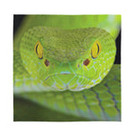 Green Pit Viper Print Silk Bandana