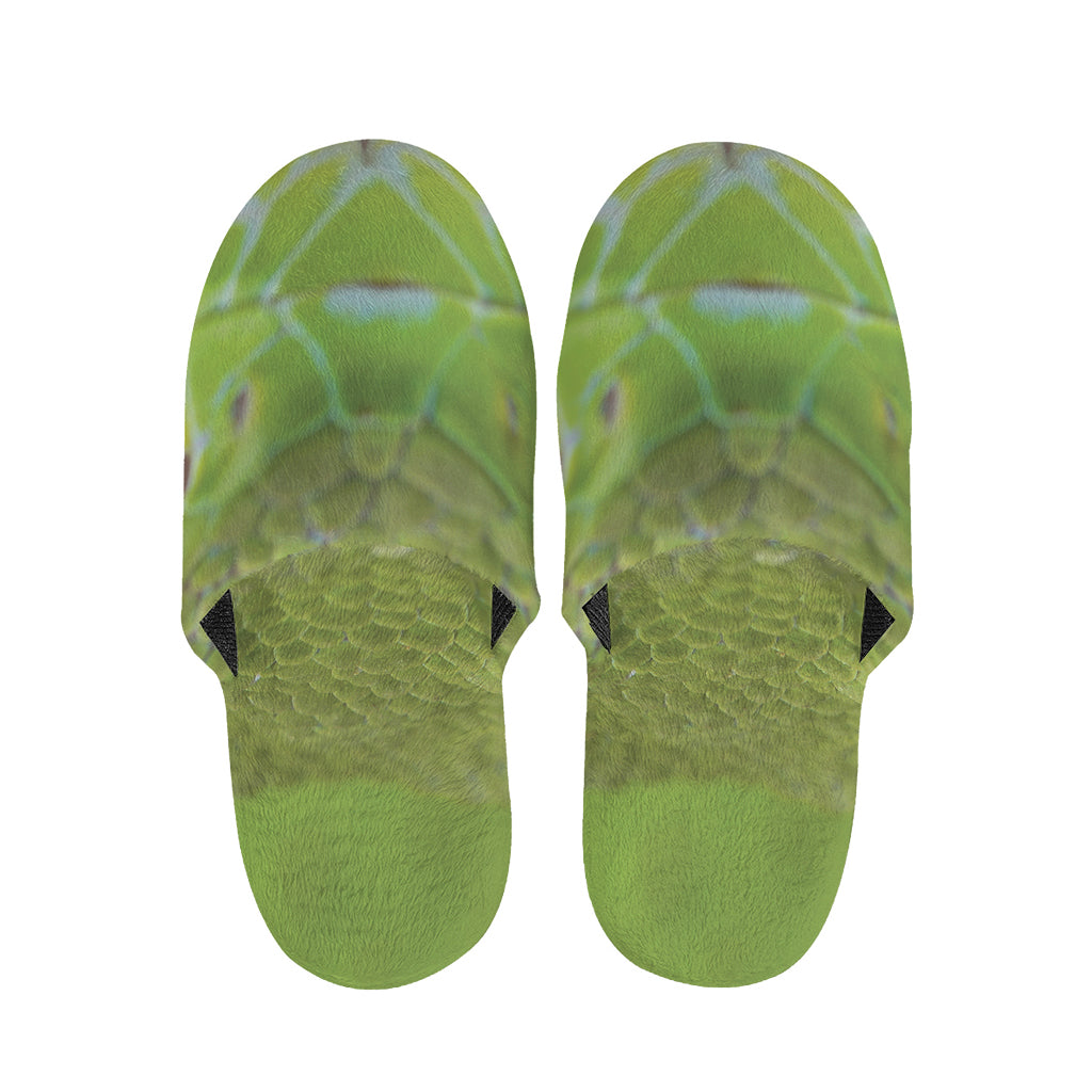 Green Pit Viper Print Slippers