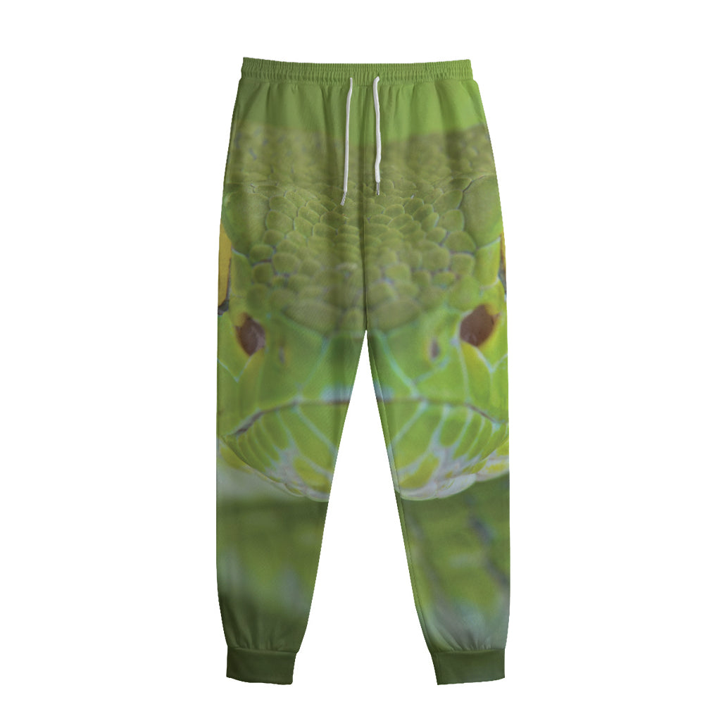Green Pit Viper Print Sweatpants