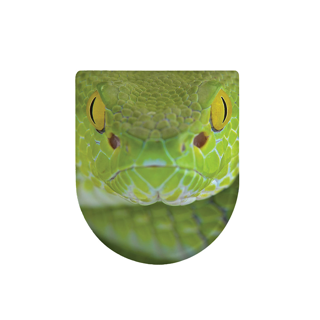 Green Pit Viper Print Toilet Lid Cover