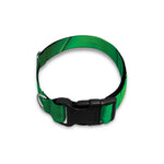 Green Playing Card Suits Pattern Print Dog Collar