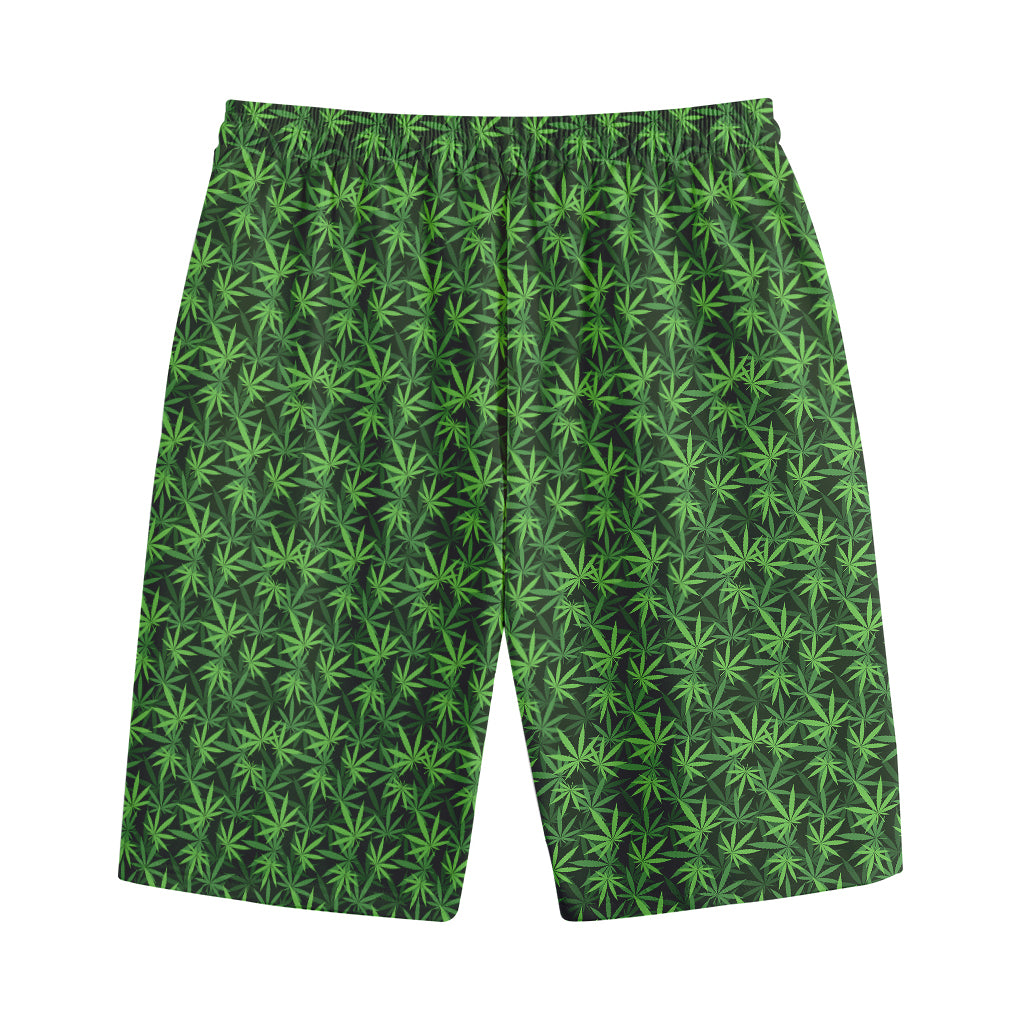 Green Pot Leaf Pattern Print Cotton Shorts
