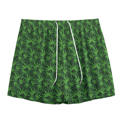 Green Pot Leaf Pattern Print Mesh Shorts
