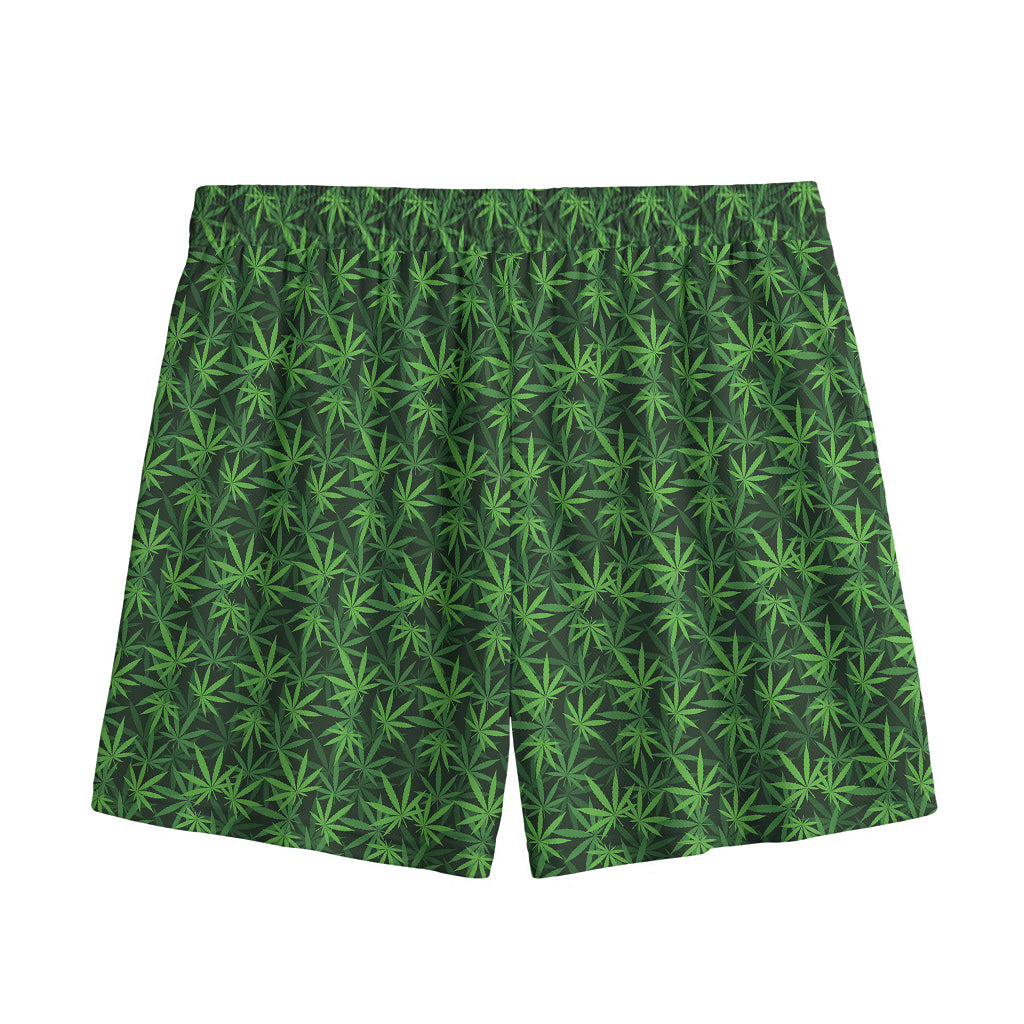 Green Pot Leaf Pattern Print Mesh Shorts