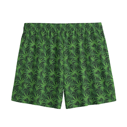 Green Pot Leaf Pattern Print Mesh Shorts