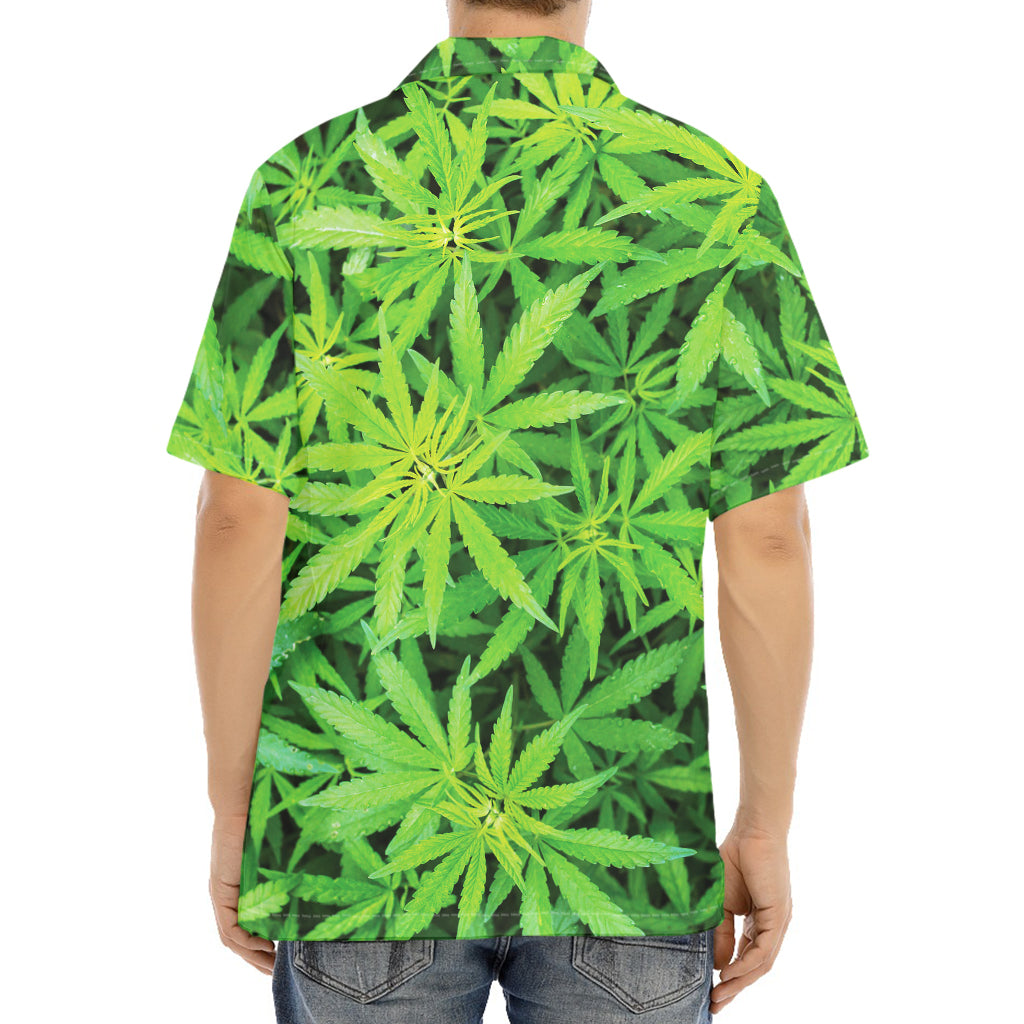 Green Pot Leaf Print Aloha Shirt