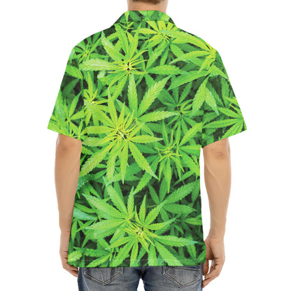 Green Pot Leaf Print Aloha Shirt