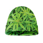 Green Pot Leaf Print Beanie