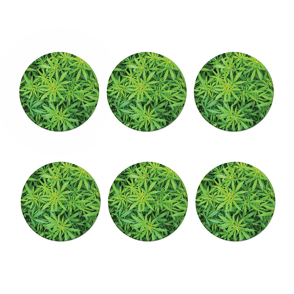 Green Pot Leaf Print Coaster Set