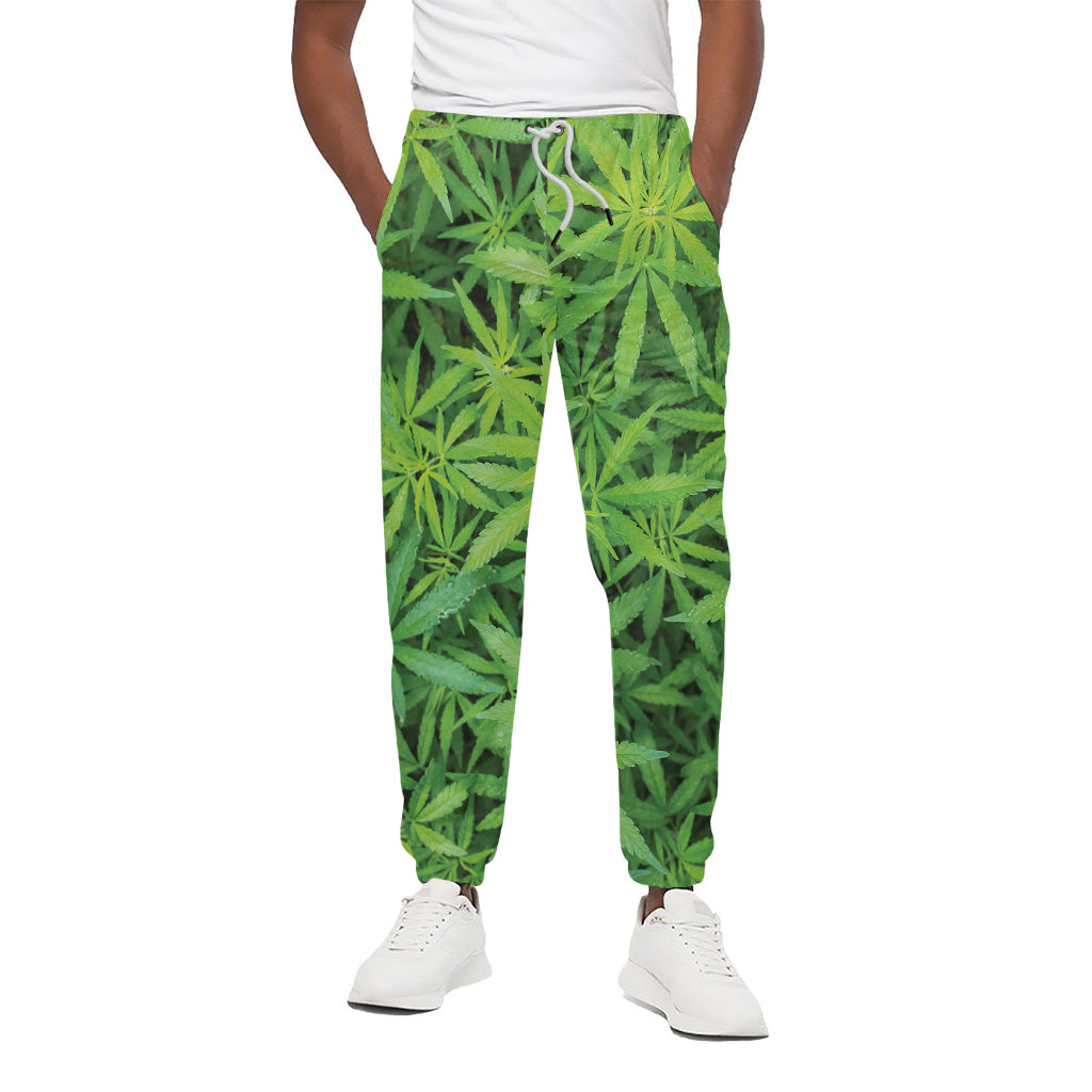 Green Pot Leaf Print Cotton Pants