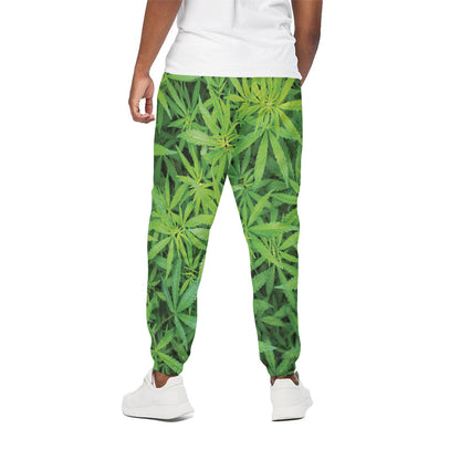 Green Pot Leaf Print Cotton Pants