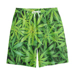 Green Pot Leaf Print Cotton Shorts