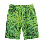 Green Pot Leaf Print Cotton Shorts