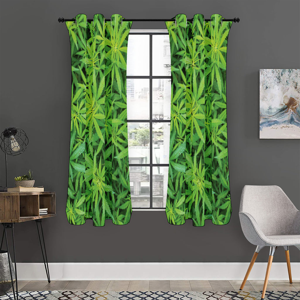 Green Pot Leaf Print Curtain
