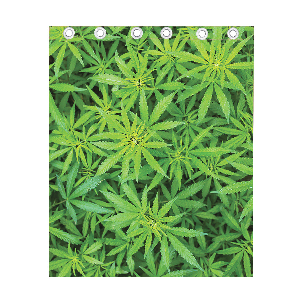 Green Pot Leaf Print Curtain