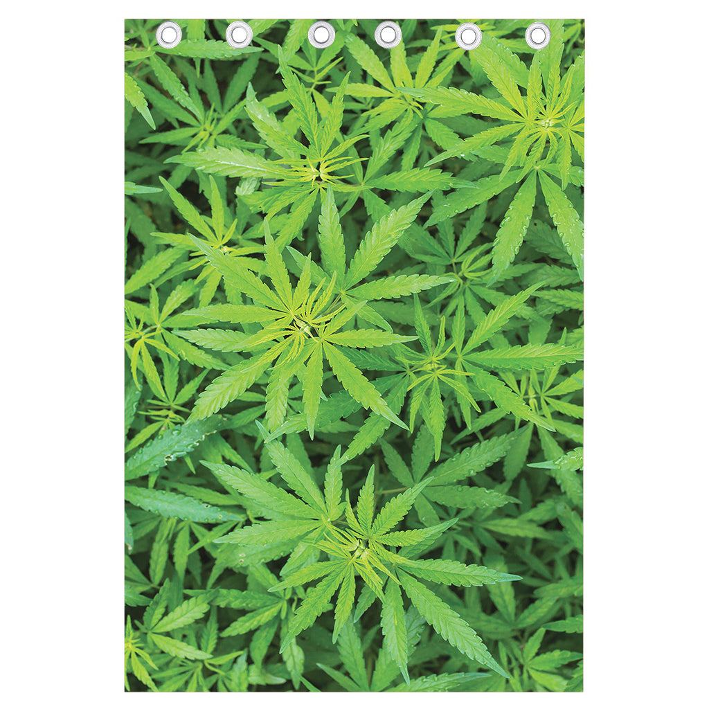 Green Pot Leaf Print Curtain
