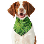 Green Pot Leaf Print Dog Bandana