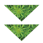 Green Pot Leaf Print Dog Bandana