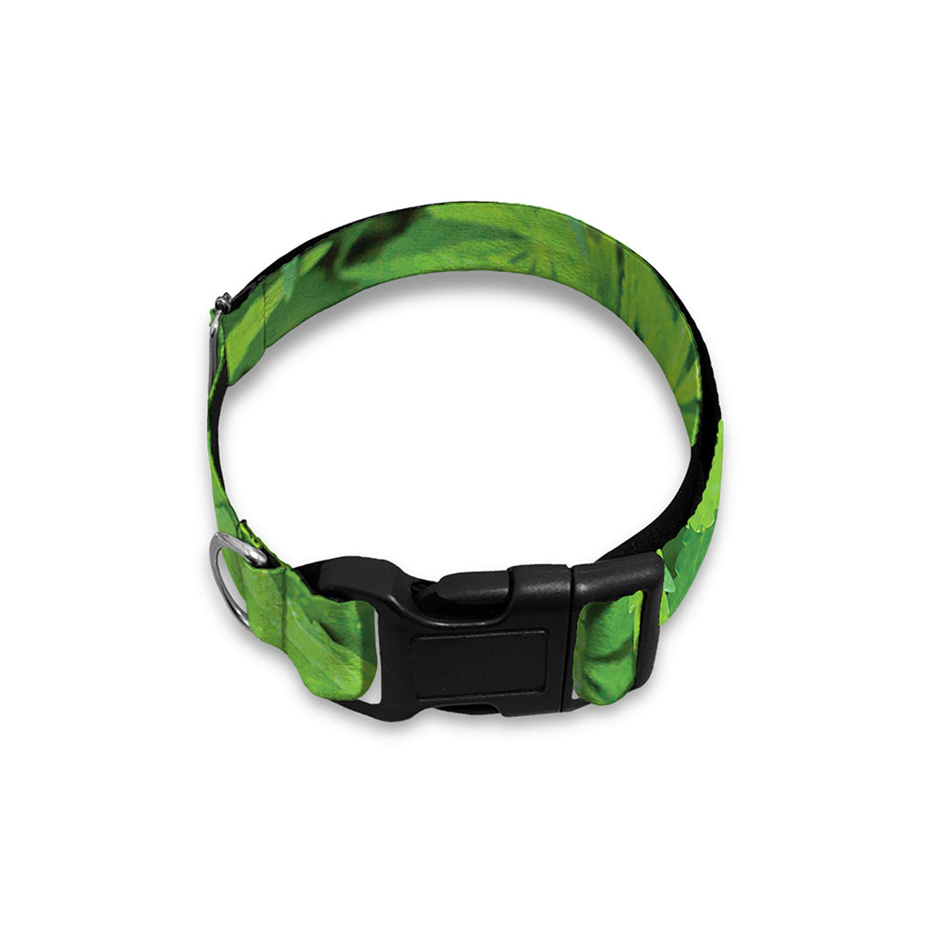 Green Pot Leaf Print Dog Collar