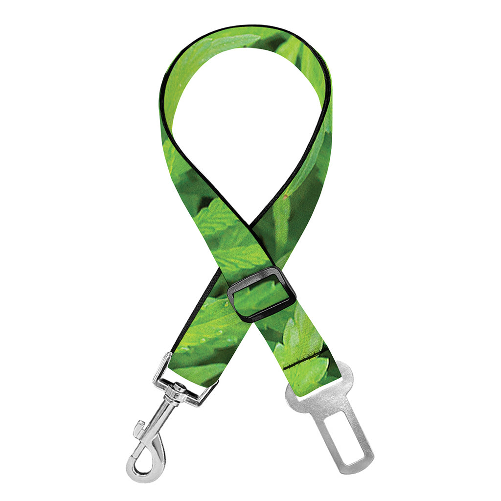 Green Pot Leaf Print Dog Seat Belt