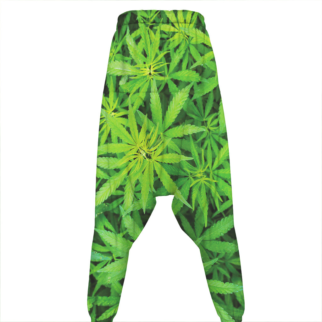 Green Pot Leaf Print Hammer Pants