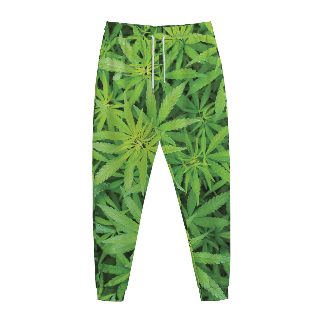 Green Pot Leaf Print Jogger Pants