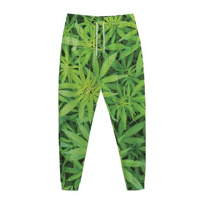 Green Pot Leaf Print Jogger Pants