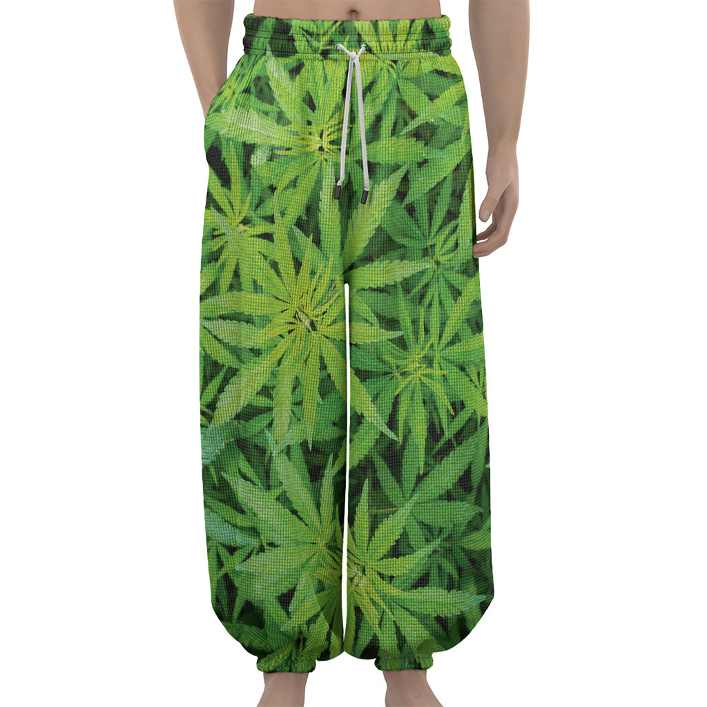 Green Pot Leaf Print Lantern Pants