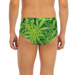 Green Pot Leaf Print Men's Briefs