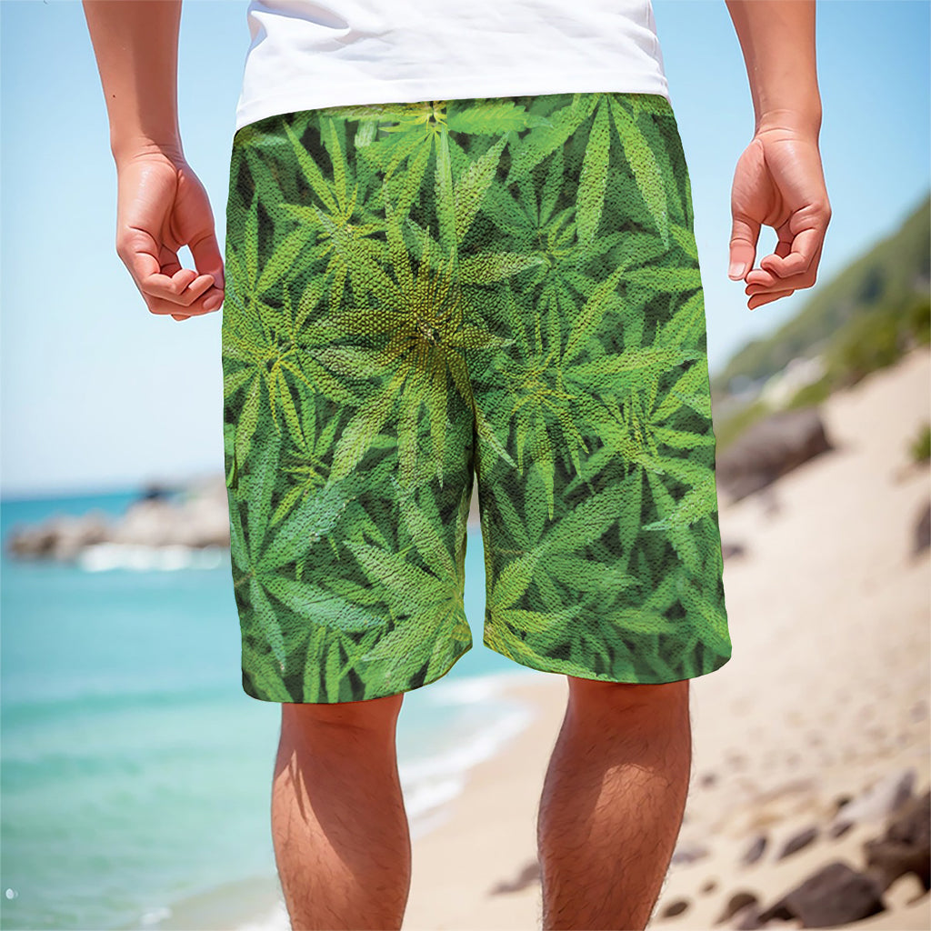 Green Pot Leaf Print Men's Cargo Shorts