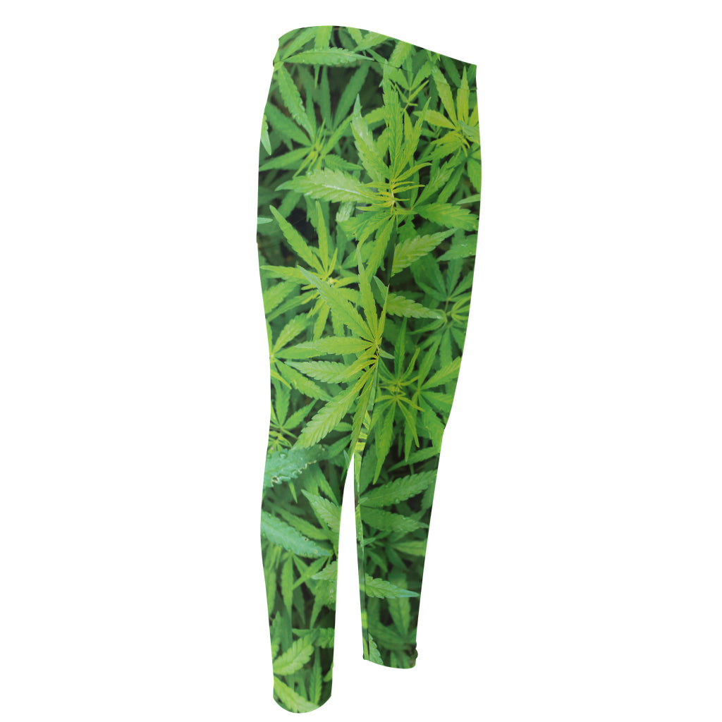 Green Pot Leaf Print Men's Compression Pants