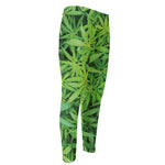 Green Pot Leaf Print Men's Compression Pants