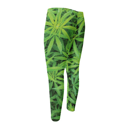 Green Pot Leaf Print Men's Compression Pants