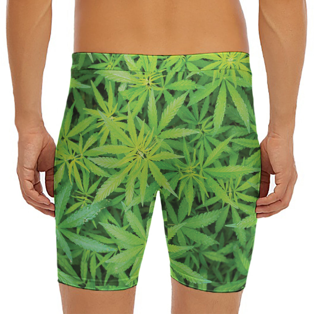Green Pot Leaf Print Men's Long Boxer Briefs