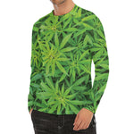 Green Pot Leaf Print Men's Long Sleeve Rash Guard