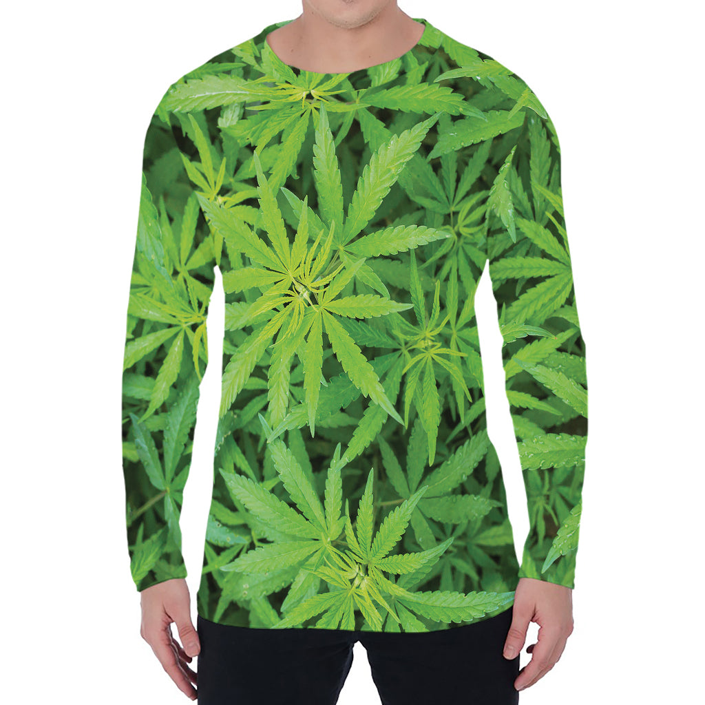 Green Pot Leaf Print Men's Long Sleeve T-Shirt