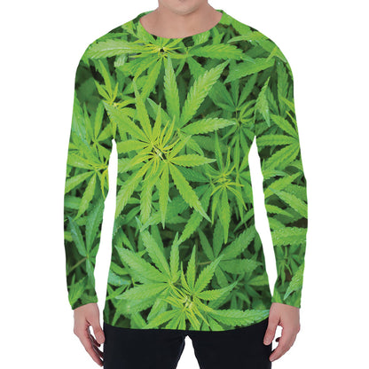 Green Pot Leaf Print Men's Long Sleeve T-Shirt