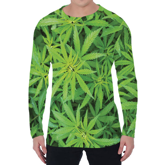 Green Pot Leaf Print Men's Long Sleeve T-Shirt
