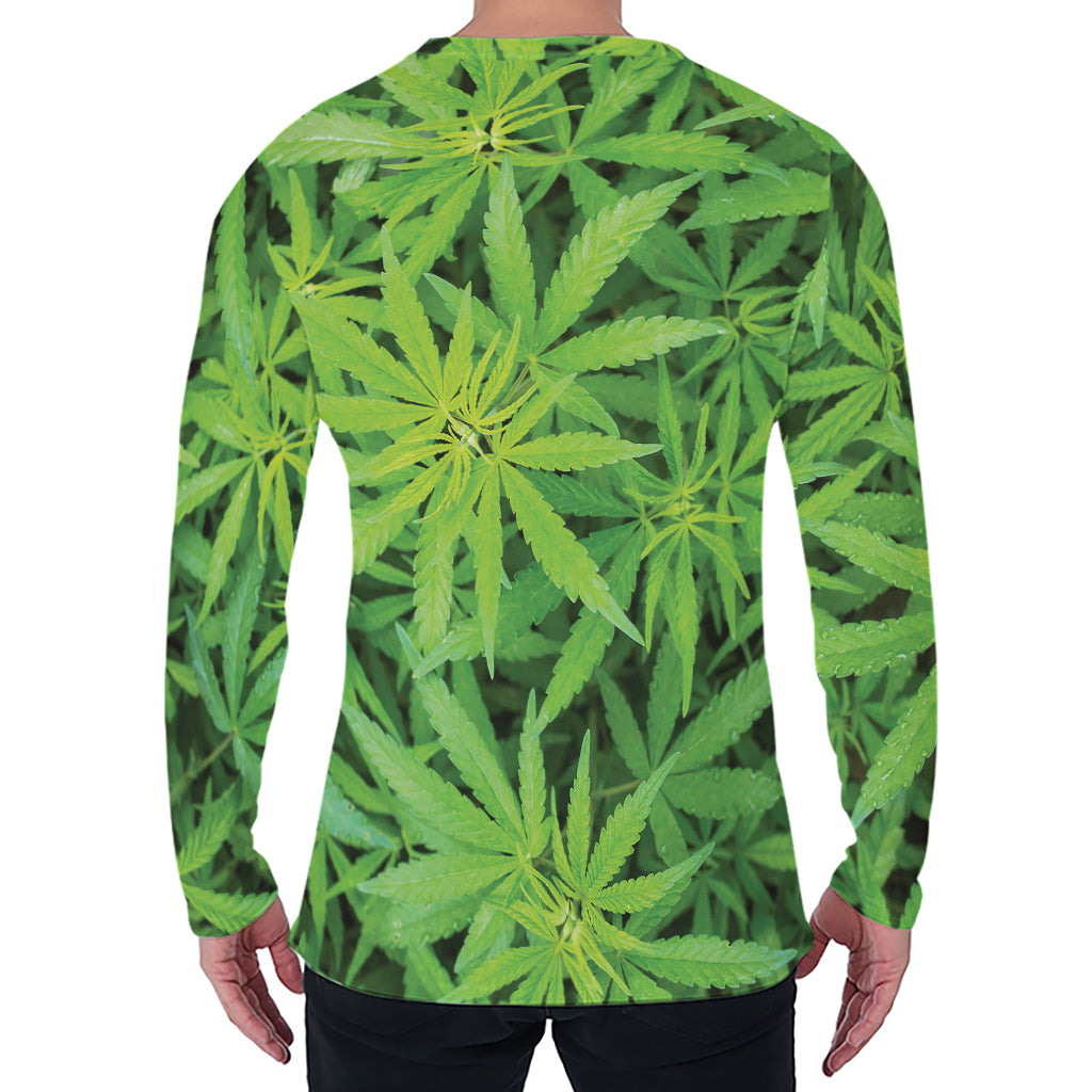 Green Pot Leaf Print Men's Long Sleeve T-Shirt