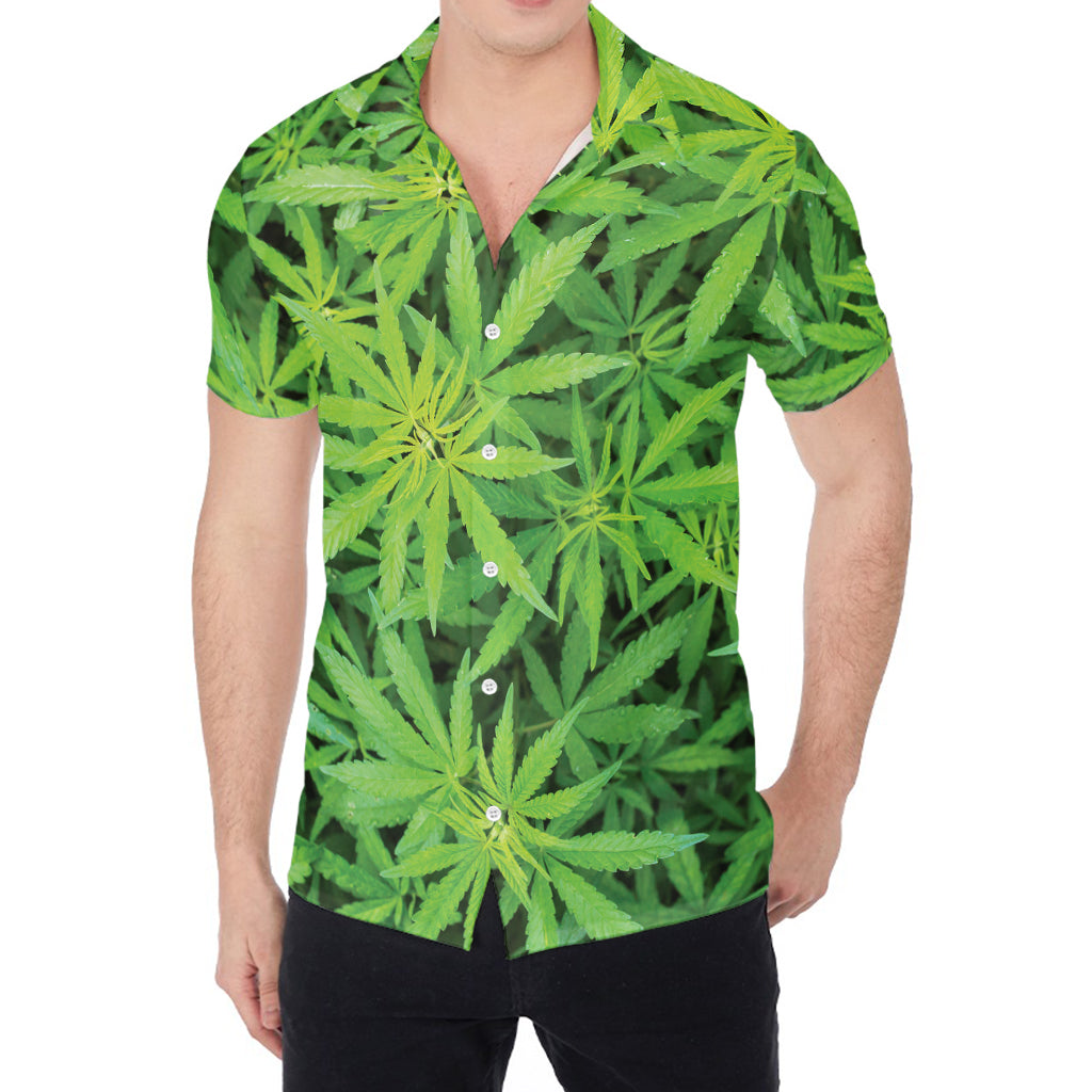 Green Pot Leaf Print Men's Shirt