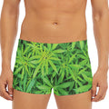 Green Pot Leaf Print Men's Short Boxer Briefs