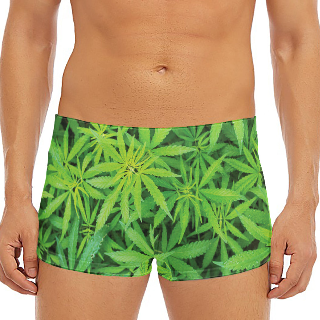 Green Pot Leaf Print Men's Short Boxer Briefs