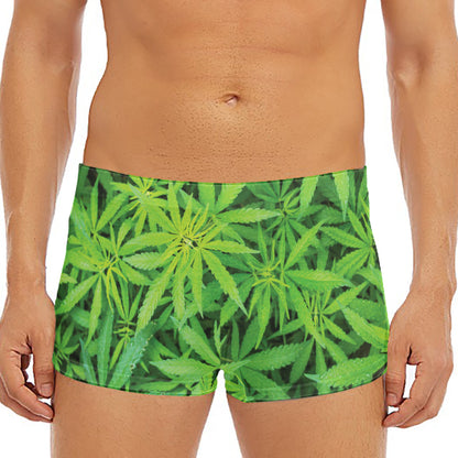 Green Pot Leaf Print Men's Short Boxer Briefs