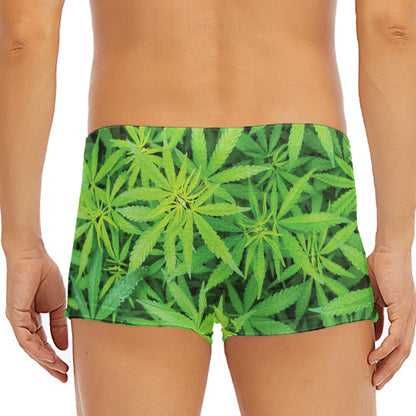 Green Pot Leaf Print Men's Short Boxer Briefs