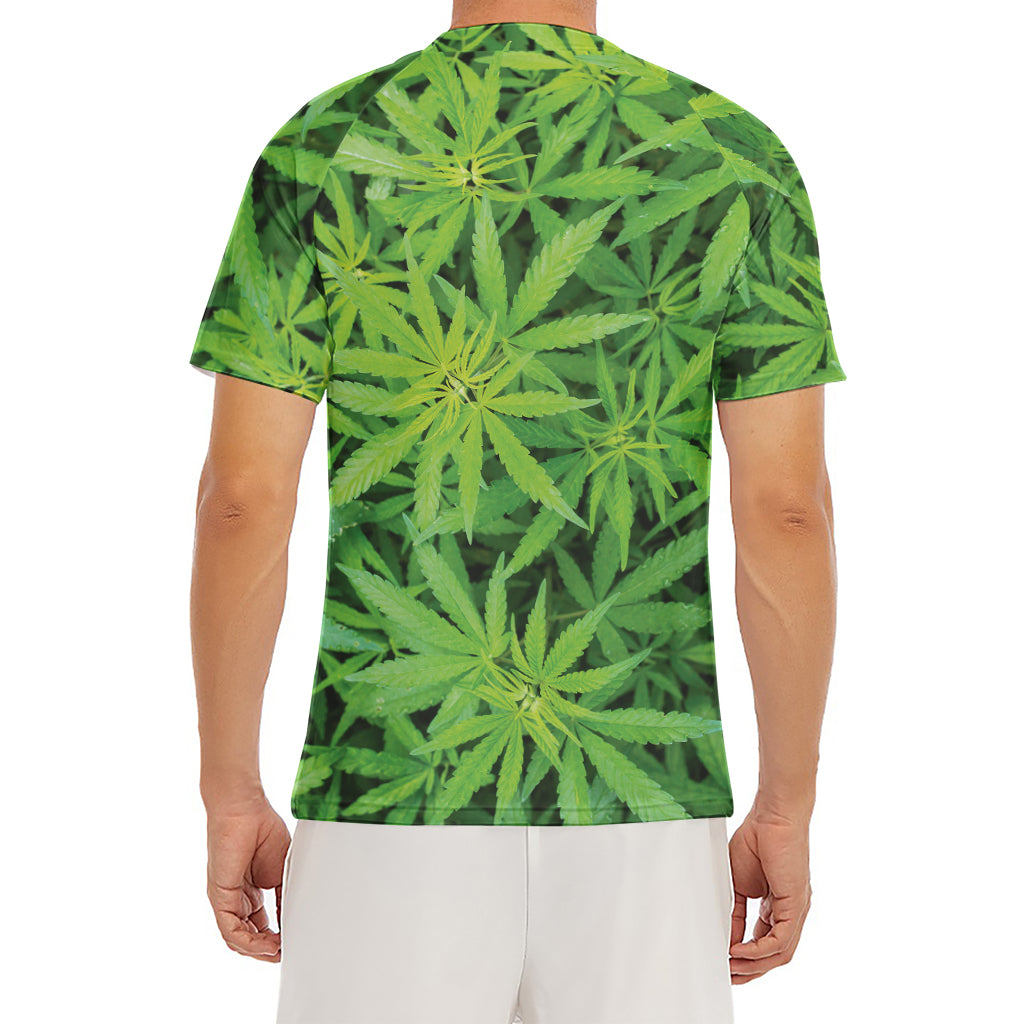 Green Pot Leaf Print Men's Short Sleeve Rash Guard