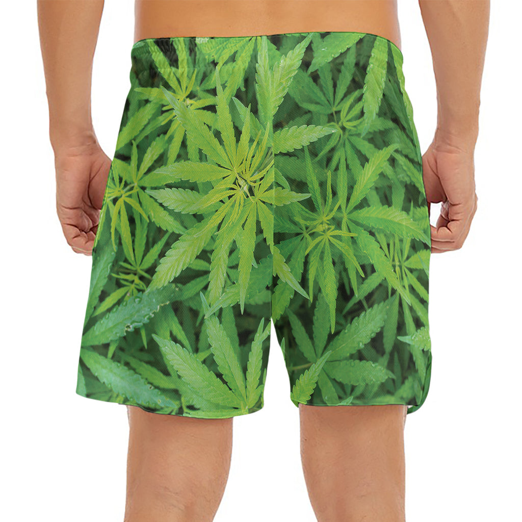 Green Pot Leaf Print Men's Split Running Shorts