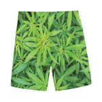 Green Pot Leaf Print Men's Sports Shorts